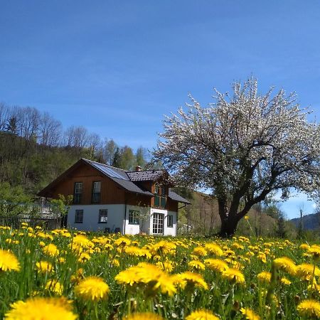 Апартаменты Gaestehaus Blonbauer Шладминг Экстерьер фото